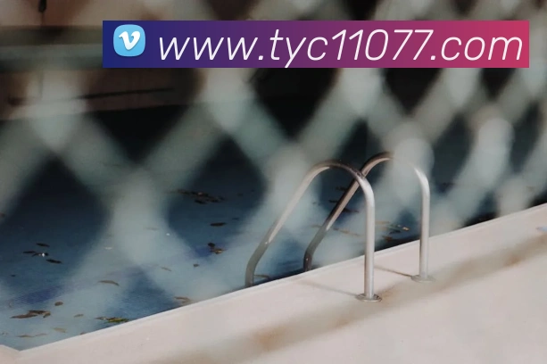奖项证书